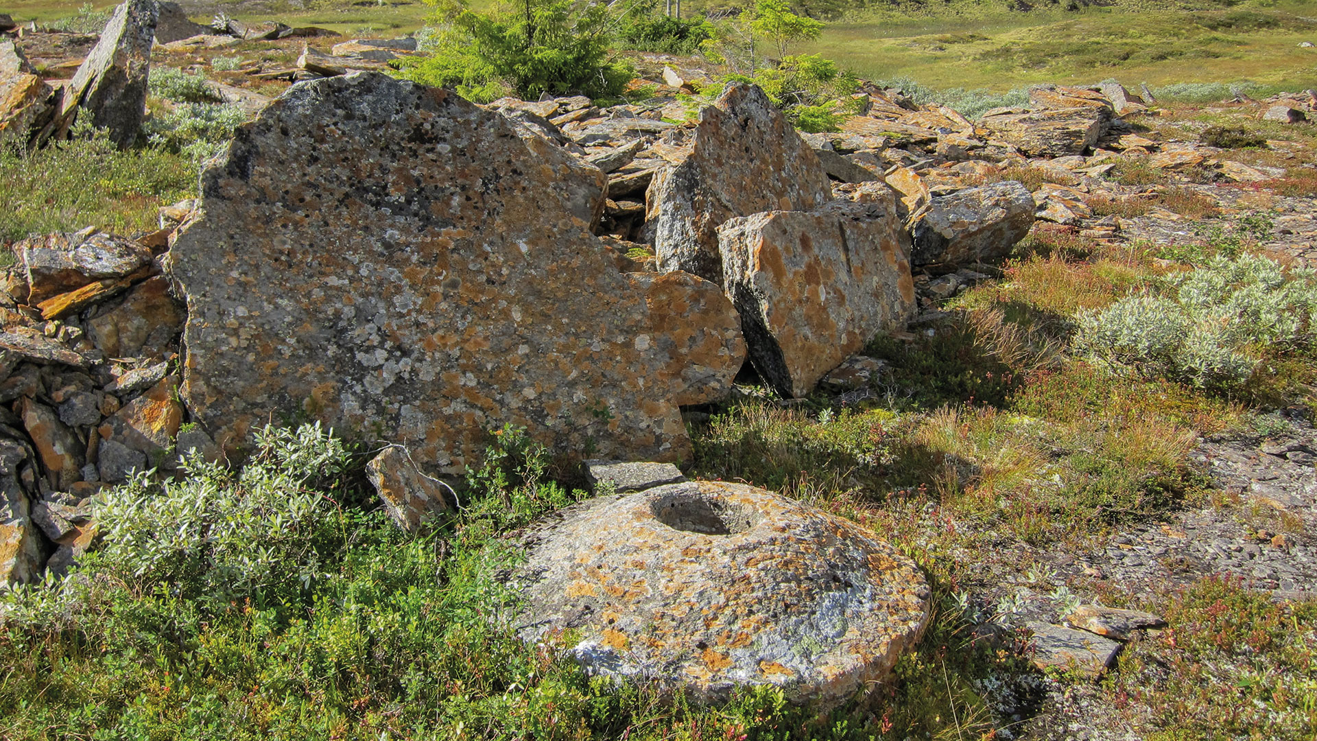 Bilde av kvernstein